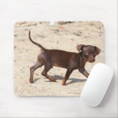 チワワの子犬の歩く マウスパッド (マウス)