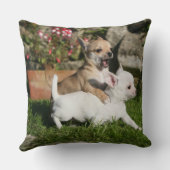 チワワの子犬の遊ぶこと クッション (裏面)