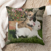 チワワの子犬の遊ぶこと クッション (ブランケット)