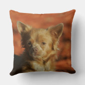 チワワの子犬のHeadshot クッション (裏面)