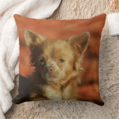 チワワの子犬のHeadshot クッション (ブランケット)