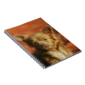 チワワの子犬のHeadshot ノートブック (右側)