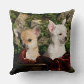 チワワの子犬 クッション (裏面)