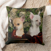 チワワの子犬 クッション (ブランケット)