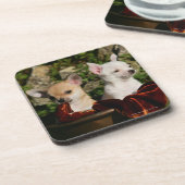 チワワの子犬 コースター (左側)