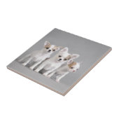 チワワの子犬 タイル (側面)