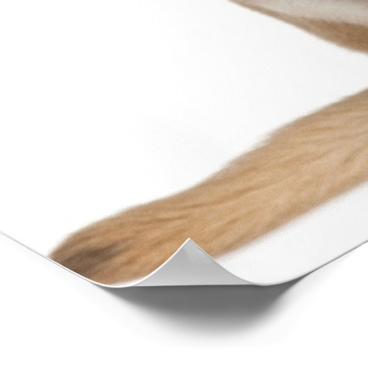 チワワの子犬（2カ月） ポスター (角)