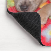 チワワの抱擁 マウスパッド (コーナー)