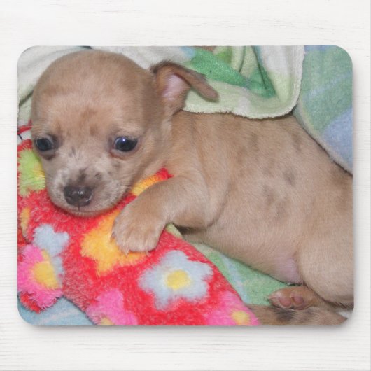 チワワの抱擁 マウスパッド (正面)