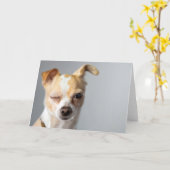 チワワの挨拶状のまばたき カード (黄色い花)
