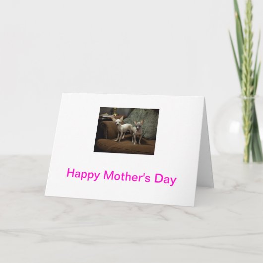 チワワの母の日カード カード (正面)