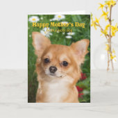 チワワの母の日カード カード (黄色い花)