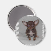 チワワの法則1 マグネット (正面/裏面)