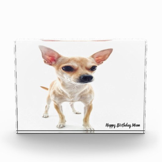 チワワの犬 フォトブロック (正面)