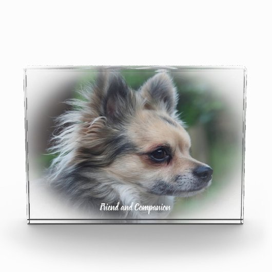チワワの犬 フォトブロック (正面)
