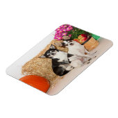 チワワの秋 マグネット (左側)