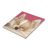 チワワの顔のタイル タイル (側面)