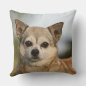 チワワのHeadshot クッション (裏面)