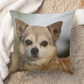 チワワのHeadshot クッション (ブランケット)