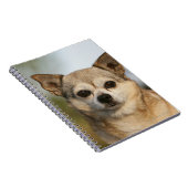 チワワのHeadshot ノートブック (右側)