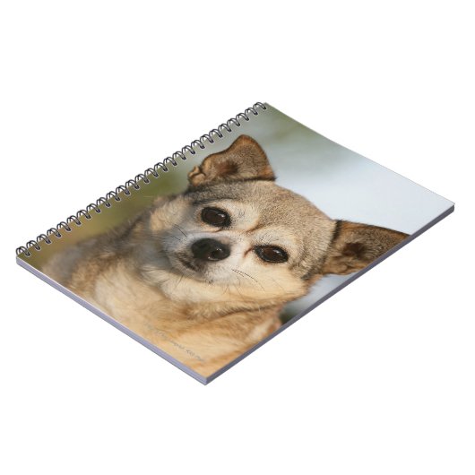 チワワのHeadshot ノートブック (左側)