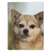 チワワのHeadshot ノートブック (正面)