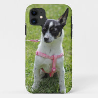 チワワのiphoneの場合