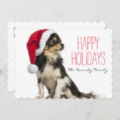 チワワはクリスマスハットをかぶっている シーズンカード (正面/裏面)