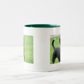 チワワイザベラ-13 ツートーンマグカップ (中央)