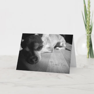 チワワカードありがとう サンキューカード