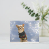 チワワクリスマス招待状 招待状 (スタンド正面)