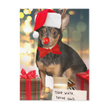 チワワクリスマス