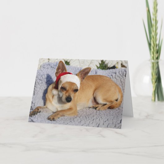 チワワサンタ シーズンカード (正面)