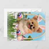 チワワハッピーイースターギフト シーズンポストカード (正面/裏面)