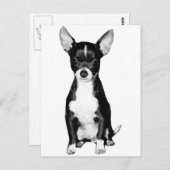 チワワハポストカード ポストカード (正面/裏面)