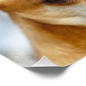 チワワベビー フォトプリント            (角)