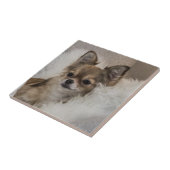 チワワリラックスス タイル (側面)