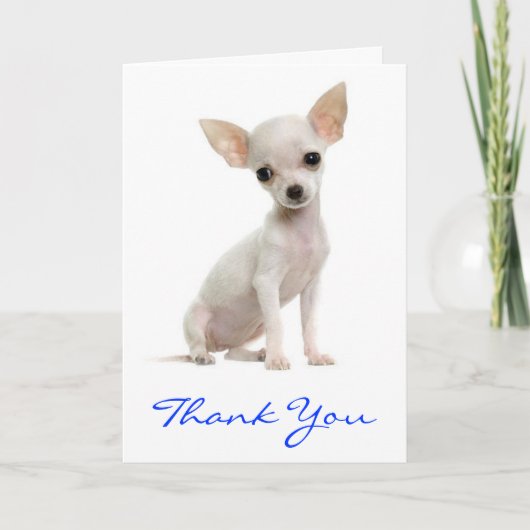 チワワワワンピー犬グリーティングカードありがとう サンキューカード (正面)