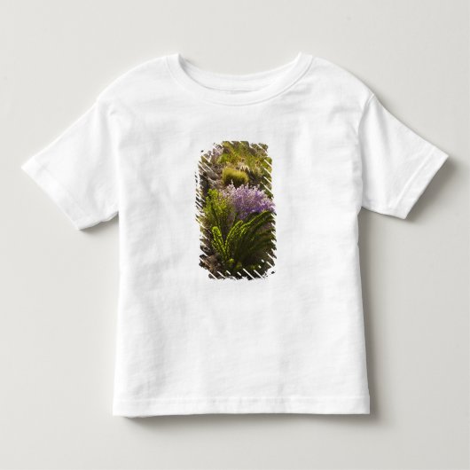 チワワン砂漠の植物開花 トドラーTシャツ (正面)