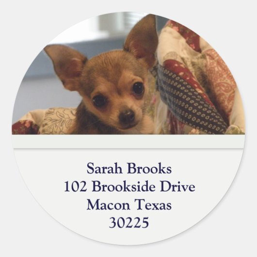 チワワ住所ステッカー ラウンドシール (正面)