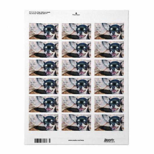 チワワ住所 シール (フルシート)