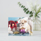 チワワ子犬がクリスマスボールを保持 シーズンポストカード (スタンド正面)