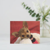 チワワ子犬のはがき ポストカード (スタンド正面)