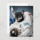 チワワ宇宙飛行士はがき ポストカード (正面/裏面)