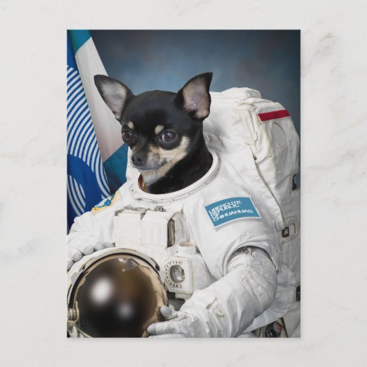 チワワ宇宙飛行士はがき ポストカード (正面)