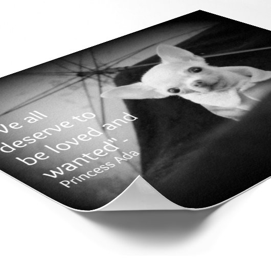 チワワ感謝 ポスター (角)