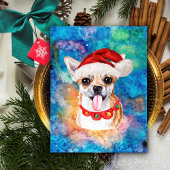 チワワ犬のクリスマス シーズンポストカード