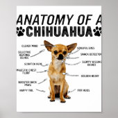 チワワ犬の動物の愛人の所有者の男性の解剖学 ポスター (正面)