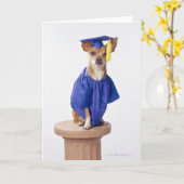 チワワ犬の身に着けている卒業のユニフォーム、スタジオ カード (黄色い花)