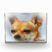 チワワ犬。 フォトブロック (正面)